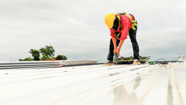 Best Commercial Roofing Services  in Portage, IN