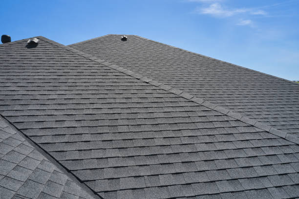 Best Roof Coating and Sealing  in Portage, IN